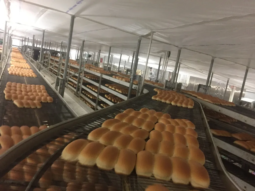 A bread factory with temporary suspended ceiling covers
